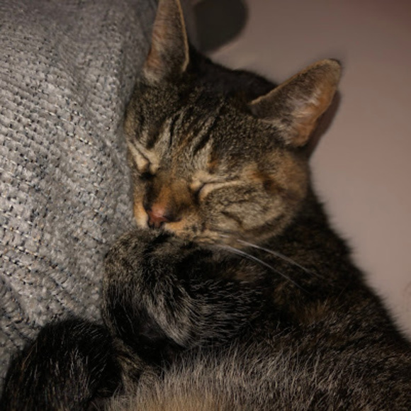 Meet your Posher, Melissa - Picture 1 of 1